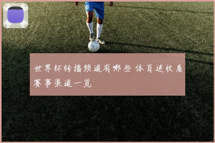 世界杯转播频道有哪些 体育迷收看赛事渠道一览