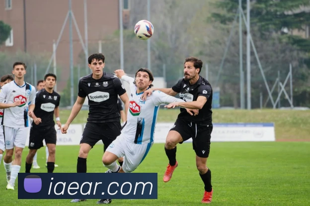 世界杯入口平台生态图