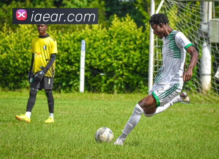 App Interface Preview